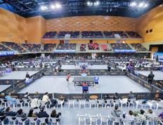 开云体育在线-乒超联赛总決(jué)赛赛程(chéng)出爐(lú)，樊振东遗憾缺席，王楚钦決(jué)赛稳了