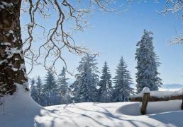 开云-网球大满贯赛事精彩对决