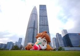 开云下载-电竞之都，缺顶流赛事(shì)？深圳：有独家赛道