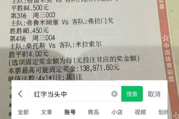 开云下载-富勒姆VS桑德兰：比分实时分析