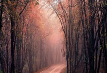 开云下载-乒乓(pāng)球“沪超”要来 将举办不少于百场赛事活动