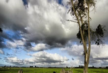 开云平台-理想中国·铿锵有理｜精彩集锦