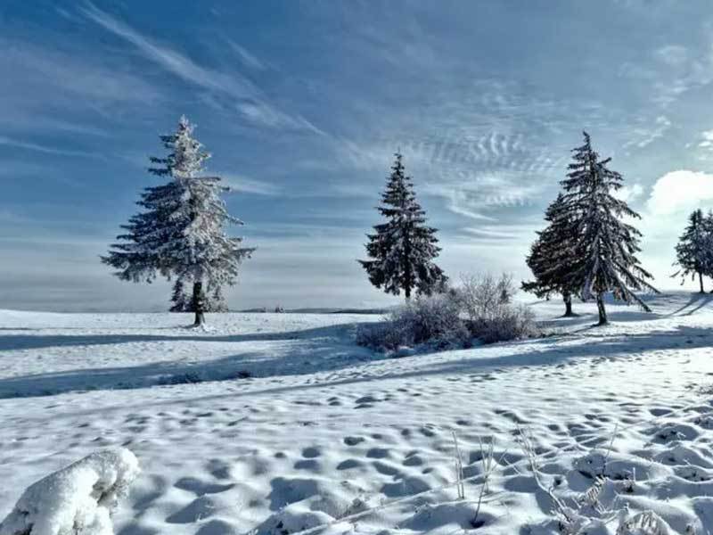 开云平台-英雄联盟四川总决赛全球顶尖战队对决