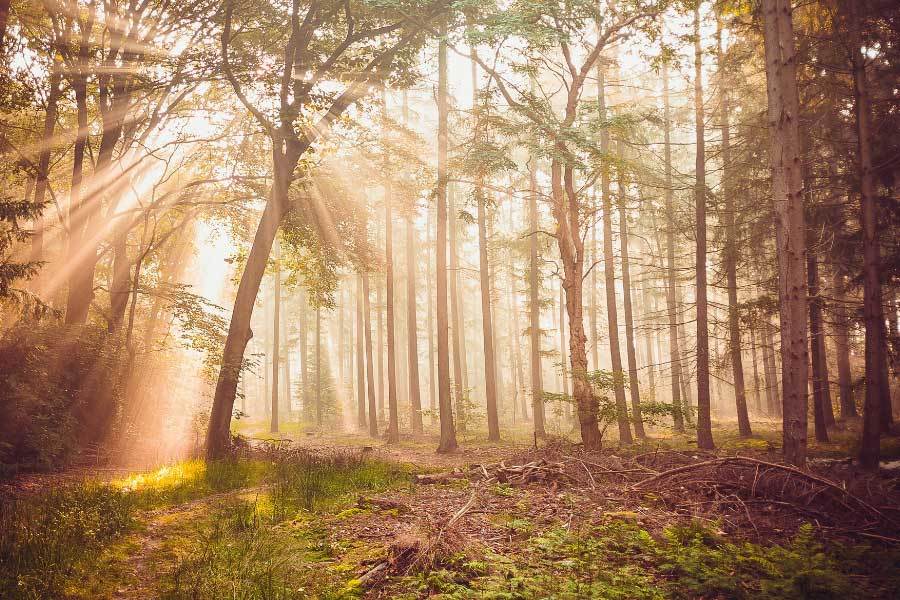 开云平台-英雄联盟四川总决赛全球顶尖战队对决