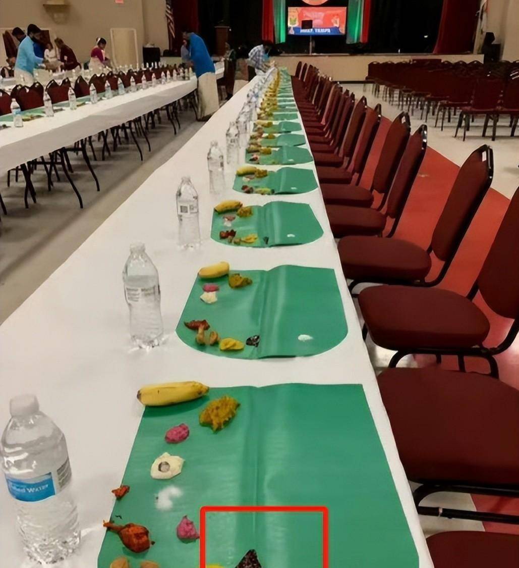 kaiyun-乒乓球亚锦赛变荒野求生比赛场地惊现青蛙？现场环境令人担忧