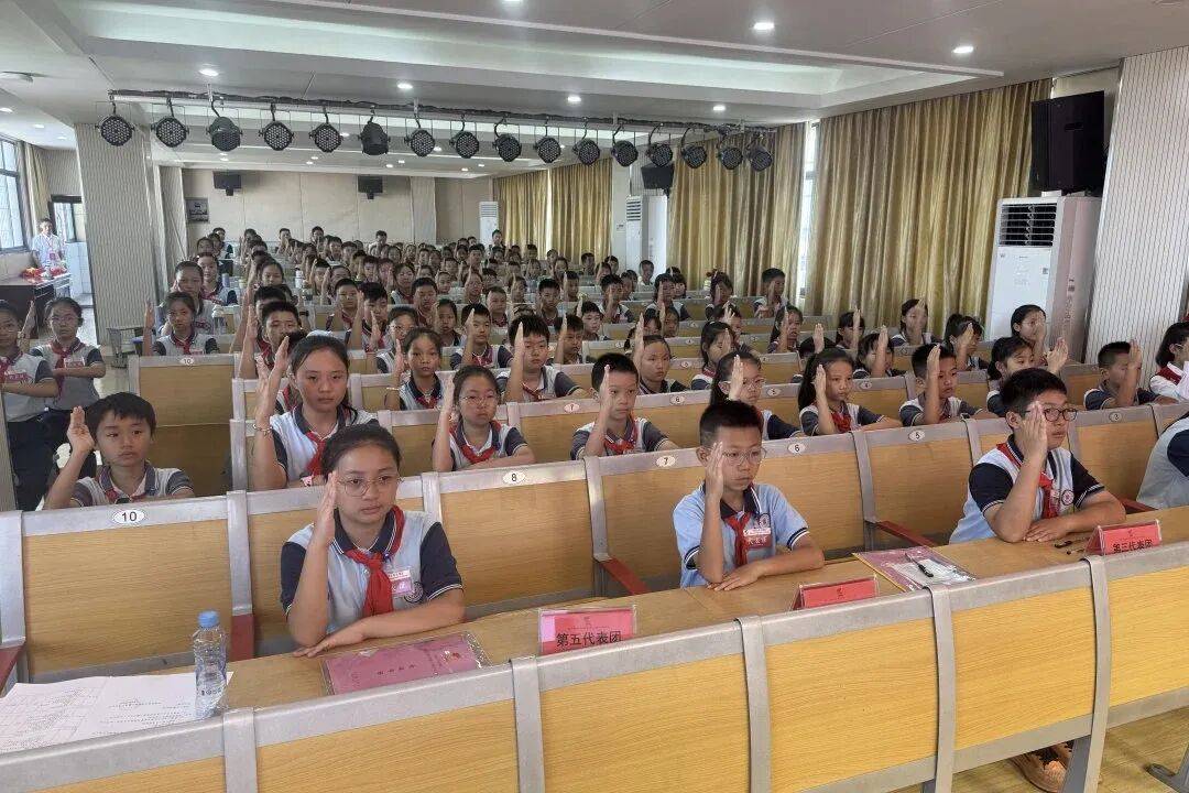 开云体育在线-你好,少代会丨新建区各学校少代会精彩集锦(一)